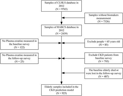 Individualized prediction of chronic kidney disease for the elderly in longevity areas in China: Machine learning approaches